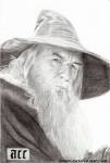 gandalf01.jpg