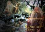 Radagast_by_TORA_KUN.jpg