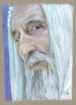 Saruman_by_OMangueOTangue.jpg