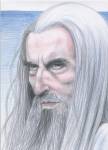 Saruman_of_Many_Colours_by_YraelMogget.jpg